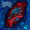Labyrinthus Stellarum - Lost in the Void