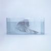 HUH YUNJIN - 해파리 [jellyfish]