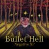 Bullet Hell