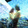 秋 [Autumn] - A Lifetime Later