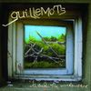 Guillemots - Through the Windowpane