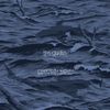 The Dodos - Certainty Waves