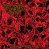 Tormentor Tyrant - Excessive Escalation Of Cruelty