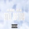 Josh Richards - Still Softish