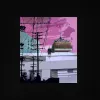 Mutestare - A Violet Wind