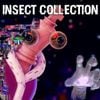 XTRATUNA - INSECT COLLECTION