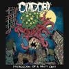 Chidori - Microcosm Of A Midlife Crisis