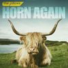 the pillows - HORN AGAIN