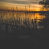 Sadness - Vivify