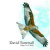 David Tattersall - Happy for a While