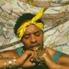 Pink Siifu - ensley