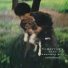 高橋幸宏 [Yukihiro Takahashi] - Tomorrow's Just Another Day
