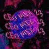 Worldcorp Enterprises - Ceo Mix 23'