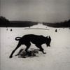 Omar Hound - Famine