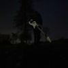 Eden Burning - problems