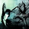 Rosasharin - If This Letter Leaves Candlelight