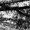 Bifurcate - The Hysteria That Sends You Into A Downward Spiral