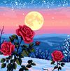 Belluna - Moonset Memories