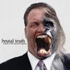 Sounds of The Animal Kingdom