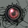 Pupil - Beautiful Machines