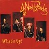 4 Non Blondes - What's Up