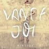 Vance Joy - Riptide