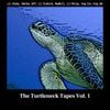 TURTLENECKS - The Turtleneck Tapes Vol. 1