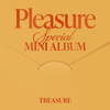 TREASURE - PLEASURE