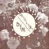 Catalyst... & Dim - dim/catalyst split