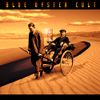 Blue Öyster Cult - Curse of the Hidden Mirror