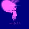 The Analog Affair - Wild