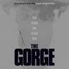 Trent Reznor & Atticus Ross - The Gorge