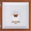 Farma G - How To Kill A Butterfly