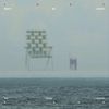 The Spine Surfs Alone: Rarities 1998-2005