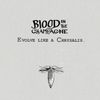 Blood In The Champagne - Evolve Like A Chrysalis