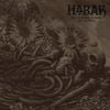Habak - Mil orqu&iacute;deas en medio del desierto