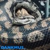 Dankmus. - Is Cat Now