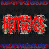 Nettspend - nettgenes