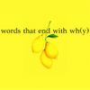 HOAX - Words That End with Wh(y)