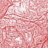 Materializing Defective Fascia