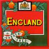 England - Garden Shed