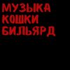 Zhanulka - музыка кошки бильярд