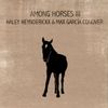 Haley Heynderickx & Max García Conover - Among Horses III