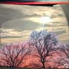 lightshade. - Amalgamation