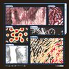 Saapato - Decomposition: Fox on a Highway