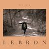 ToteKing - Lebron