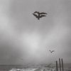 Chihei Hatakeyama - Saunter