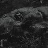 silverlake murder - Vidrig D&ouml;d