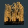 Lisa Knapp - Hinterland