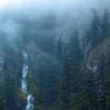Wolves in the Throne Room - Diadem of 12 Stars